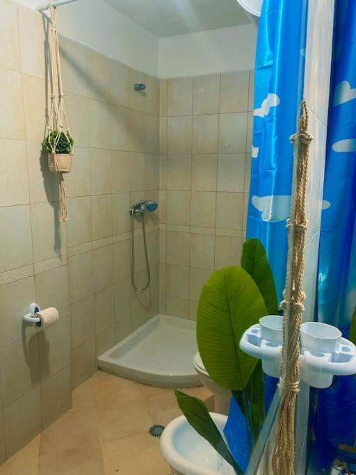 City Central Amazona Appartment Tirana Extérieur photo